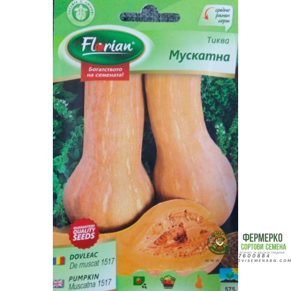 Тиква Mускатна (оребрена виола)