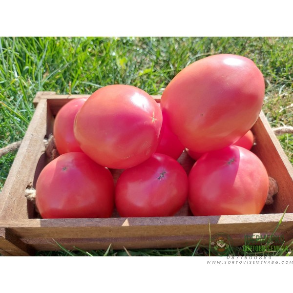 Домати Сандеро F1 Sandero F1