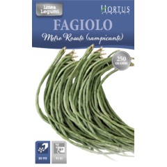 Фасул на метър (Увивен) тип Аспержов фасул Fagiolo metro rosato