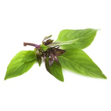 Босилек Анасонов Basilico Liquirizia