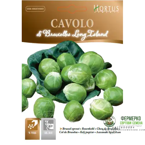 Брюкселско зеле Лонг Айлънд