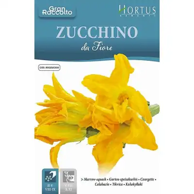 Цветове от Тиквичка / Zucchino da Fiore