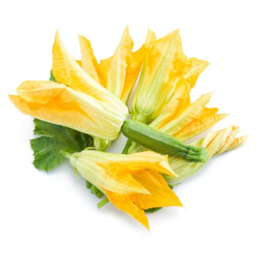 Цветове от Тиквичка / Zucchino da Fiore