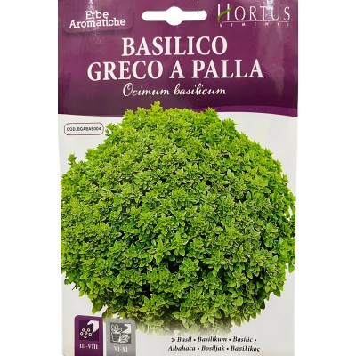 Босилек Гръцки мини / Greco a palla