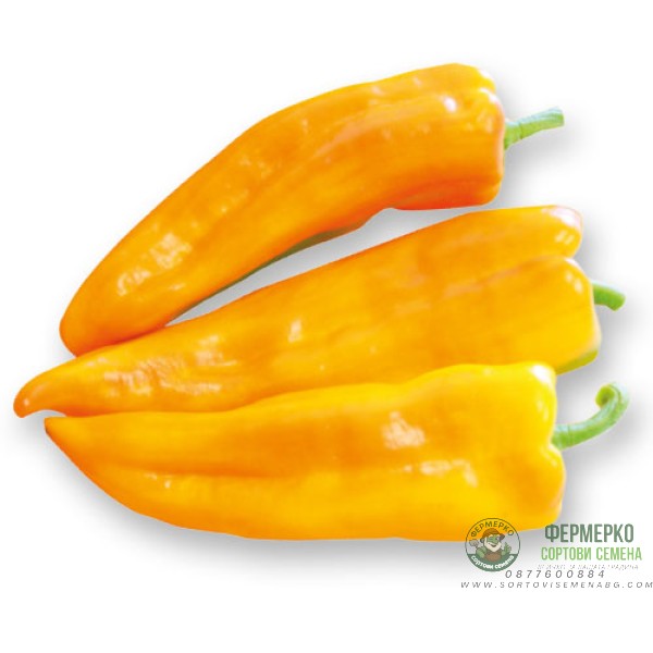 Пипер Жълт Биволски рог Corno Di Toro