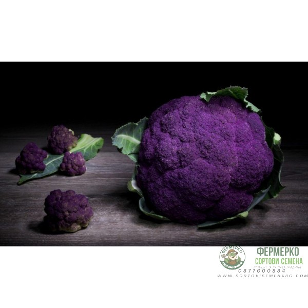 Карфиол Сицилиански Виолетов Di Sicilia Violetto