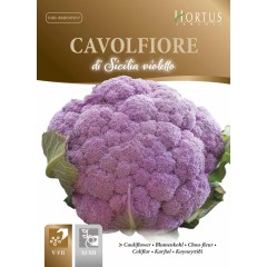 Карфиол Сицилиански Виолетов Di Sicilia Violetto