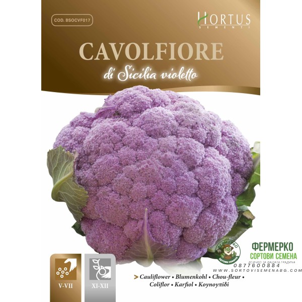 Карфиол Сицилиански Виолетов Di Sicilia Violetto