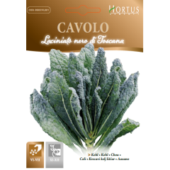 Кейл черен тоскански Nero di Toscana