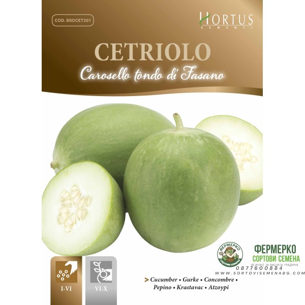 Кръгла краставица Carosello tondo di Fasano (апулийски краставици)