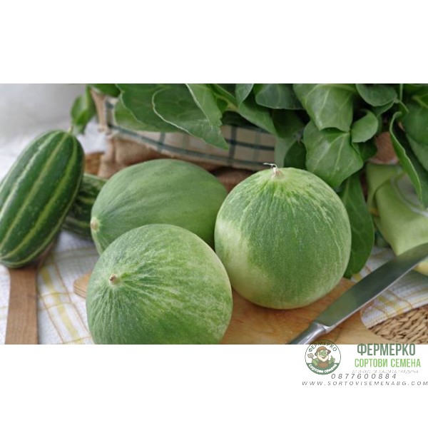 Кръгла краставица Carosello tondo di Fasano (апулийски краставици)