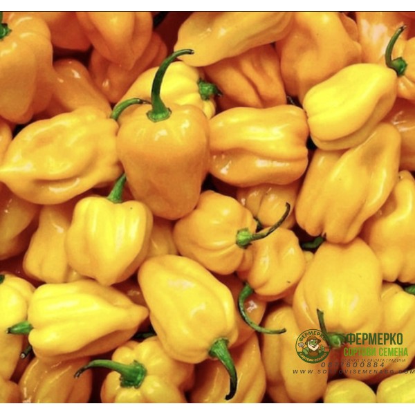 Лют Пипер Хабанеро Жълт Peperoncino Habanero Giallo