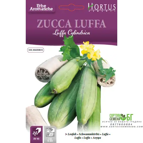 Луфа / Luffa Cylindrica