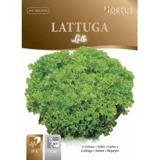 Маруля Лолло Lollo