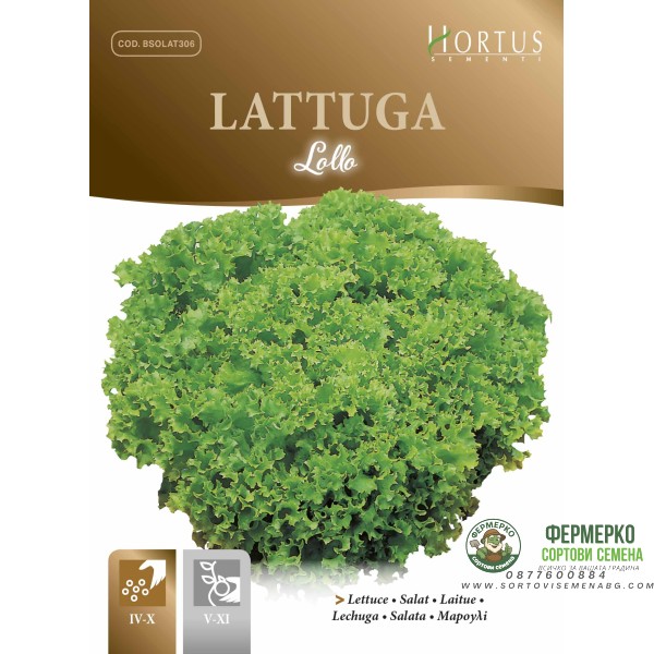 Маруля Лолло Lollo