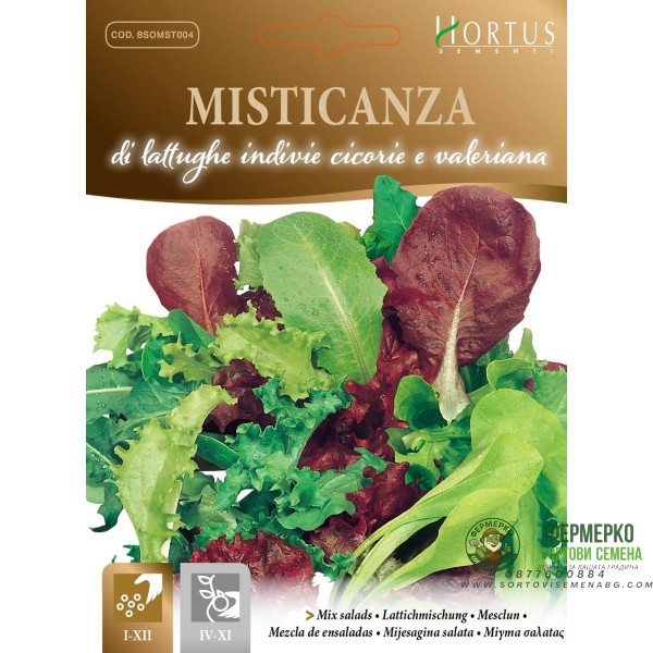 Микс от Марули, Ендивия, Цикория и Валериана