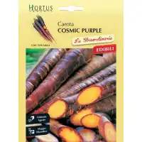 Морков Лилав космик Cosmic Purple