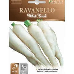 Ряпа бяла дълга White Icicle