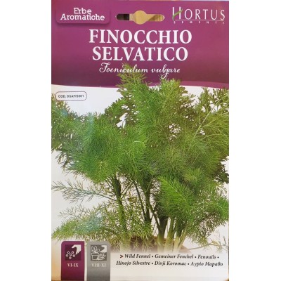 Семена от Див копър (Резене) / Foeniculum vulgare