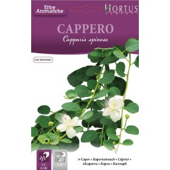 Семена от Каперс