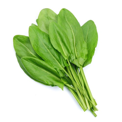Семена от Киселец / Rumex acetosa