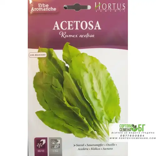 Семена от Киселец / Rumex acetosa