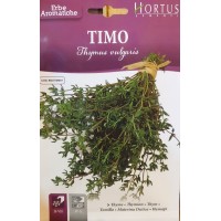 Семена от Мащерка / Thymus vulgaris