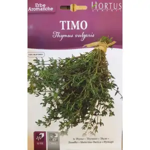 Семена от Мащерка / Thymus vulgaris