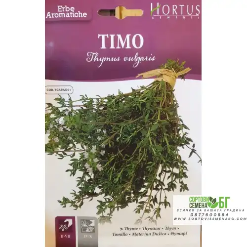 Семена от Мащерка / Thymus vulgaris