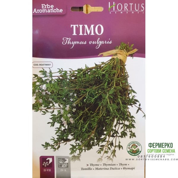 Семена от Мащерка Thymus vulgaris