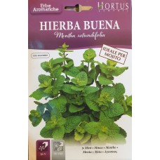 Семена от Мента (Ябълкова) Mentha rotundifolia