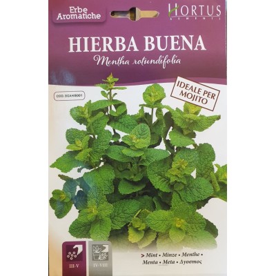 Семена от Мента (Ябълкова) / Mentha rotundifolia