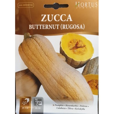 Тиква Бутернут (Набръчкана) / Butternut (Rugosa)