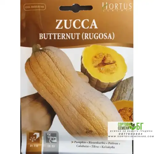 Тиква Бутернут (Набръчкана) / Butternut (Rugosa) Тиква Бутернут (Набръчкана) / Butternut (Rugosa)