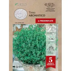 Семена на Диск за Ароматна Мащерка / Timo Aromatico