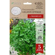 Семена на Диск от Магданоз Италиански Гигант Prezzemolo Gigante