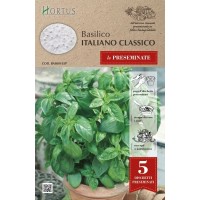 Семена на Диск Босилек Класически Италиански / Basilico Italiano Classico