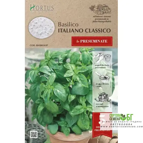 Семена на Диск Босилек Класически Италиански / Basilico Italiano Classico