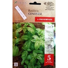 Семена на ЛЕНТА Босилек Класически Италиански Genovese