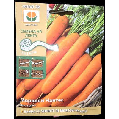 Семена на лента за Моркови Нантес / Daucus carota