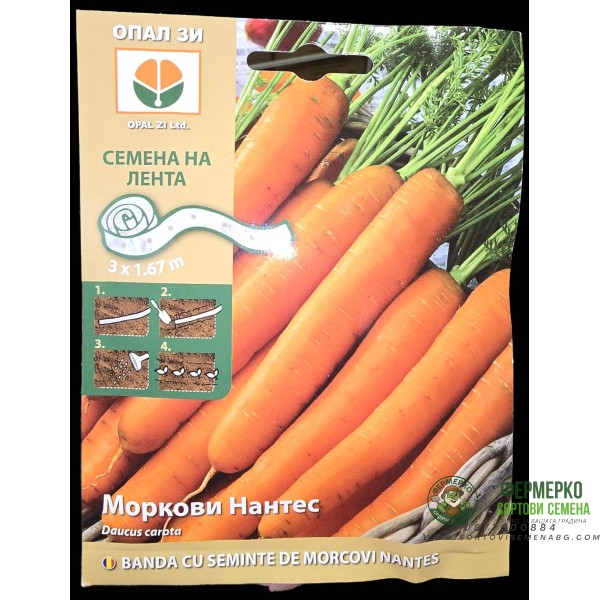Семена на лента за Моркови Нантес Daucus carota