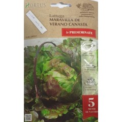 Семена на лента за Салата Маравиля де Верано Канаста Maravilla de Verano Canasta