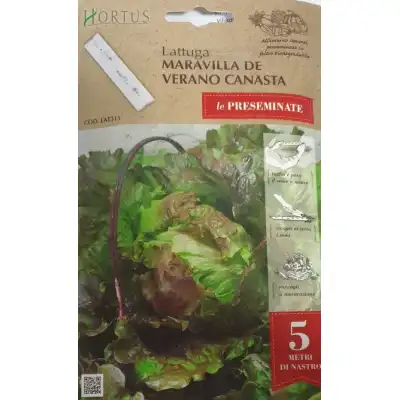 Семена на лента за Салата Маравиля де Верано Канаста Maravilla de Verano Canasta