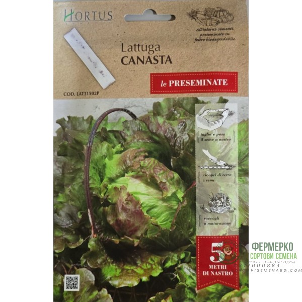 Семена на лента за Салата Канаста Canasta