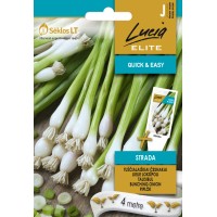 Семена на лента лук Bunching strada