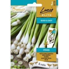 Семена на лента лук Bunching strada