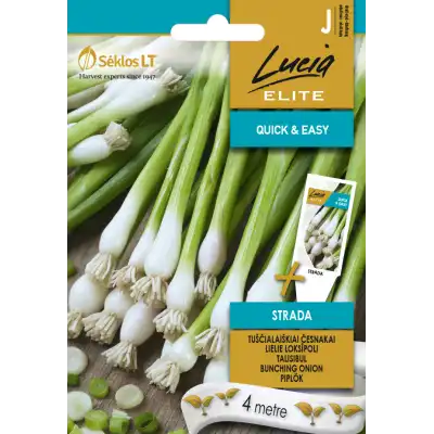 Семена на лента лук Bunching strada
