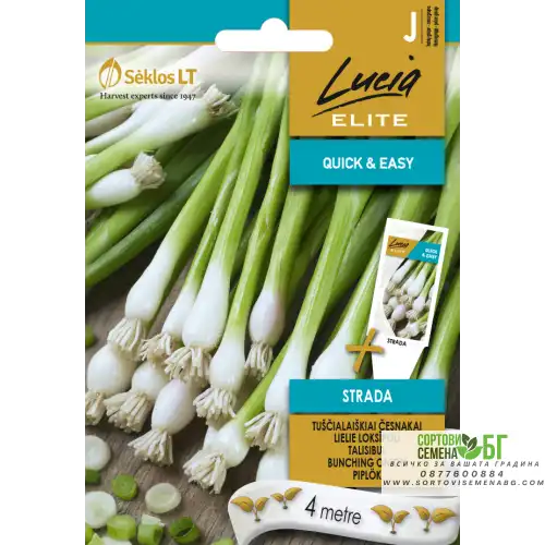 Семена на лента лук / Bunching strada