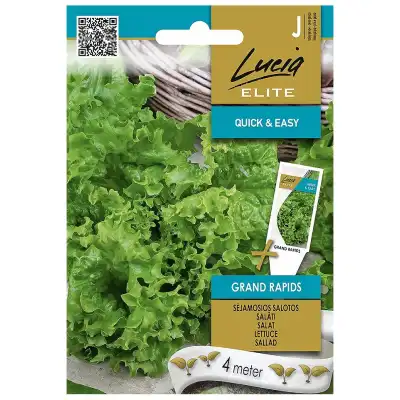 Семена на Лента Салата Гранд Рапидс Grand Rapids