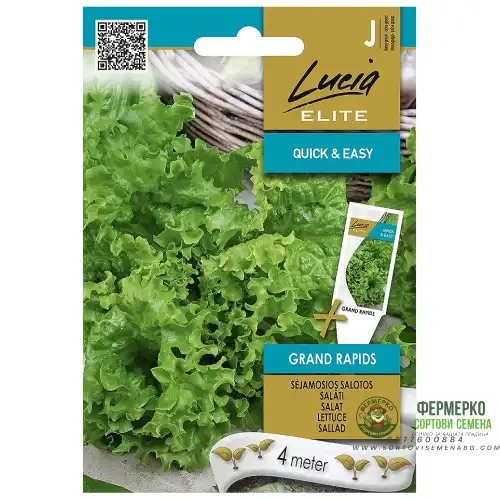 Семена на Лента Салата Гранд Рапидс / Grand Rapids